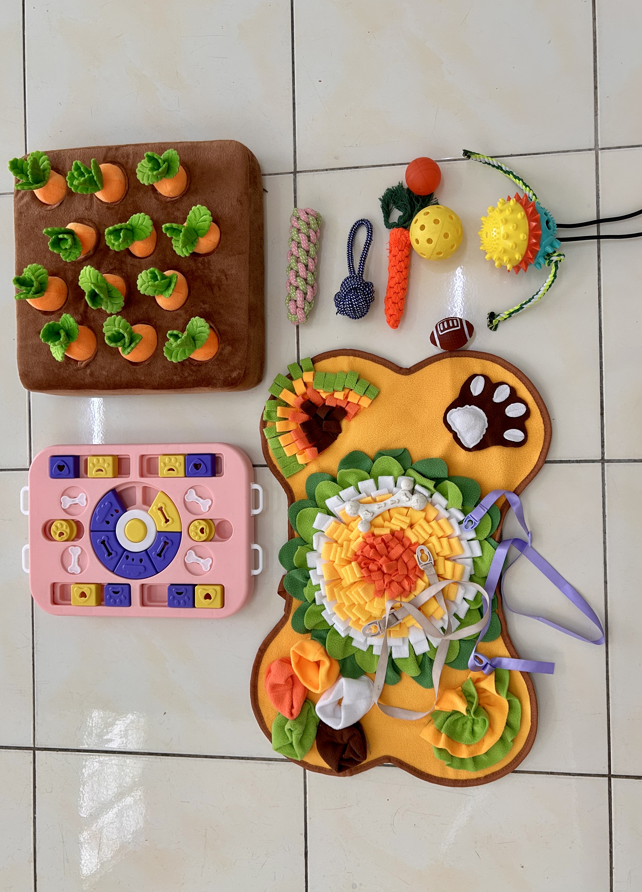 Pet toys and play area